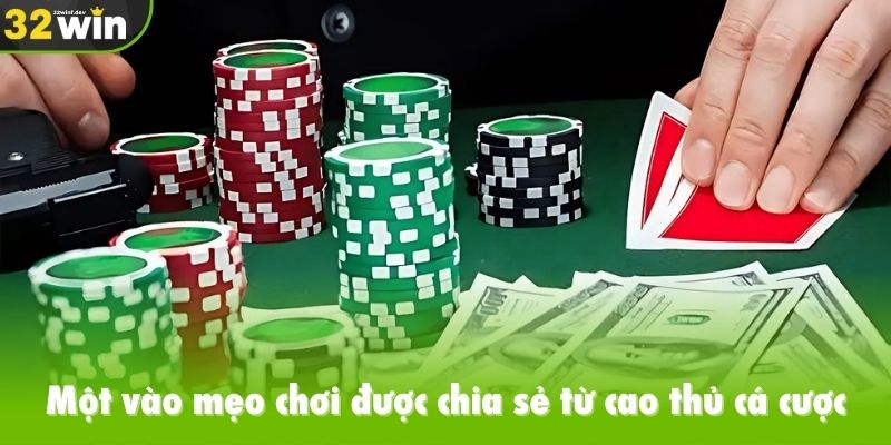 Một vào mẹo chơi được chia sẻ từ cao thủ cá cược