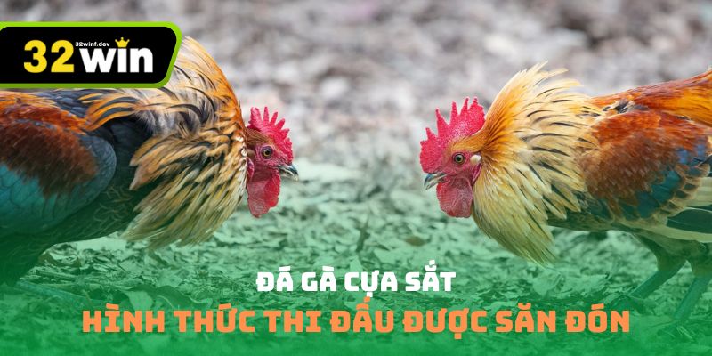 đá gà cựa sắt