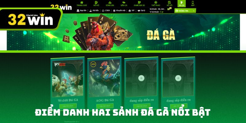 Điểm danh hai sảnh đá gà nổi bật