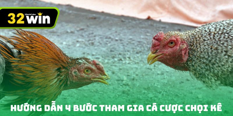 Hướng dẫn 4 bước tham gia cá cược chọi kê