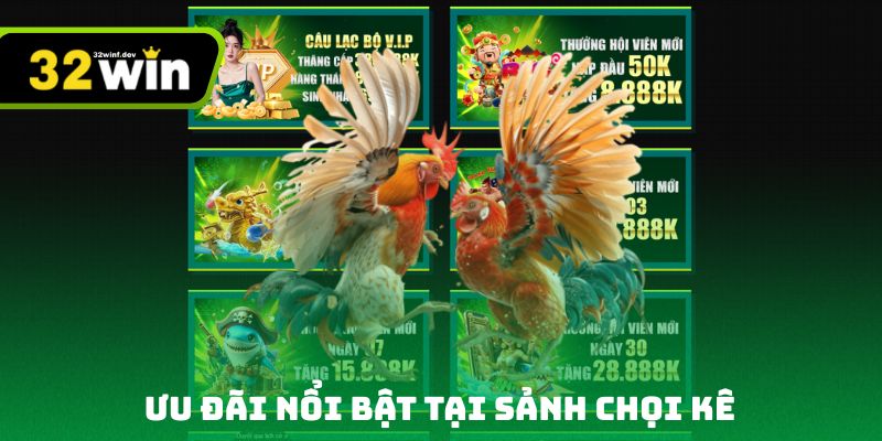 Ưu đãi nổi bật tại sảnh chọi kê